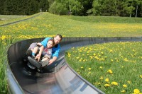 /album/fotogalerie-bobova-draha-lipno-nad-vltavou-/bobova-draha-lipno-3-jpg/